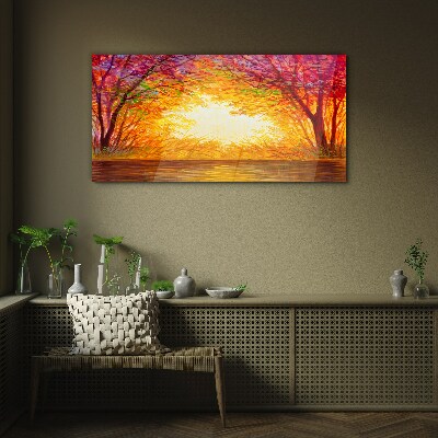 Foto op glas Zonsondergang in een kleurrijk bos