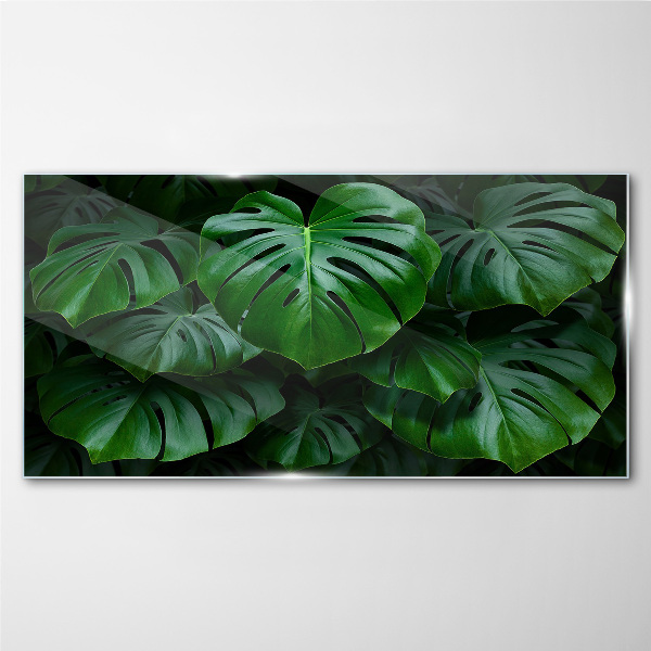 Schilderij op glas Groene symfonie van Monstera-bladeren