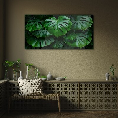 Schilderij op glas Groene symfonie van Monstera-bladeren