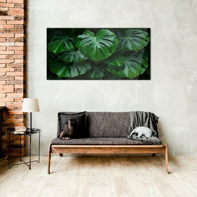 Schilderij op glas Groene symfonie van Monstera-bladeren
