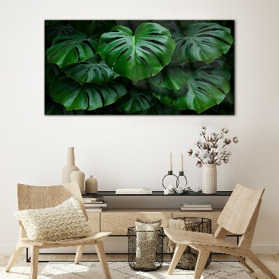 Schilderij op glas Groene symfonie van Monstera-bladeren