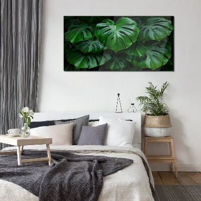 Schilderij op glas Groene symfonie van Monstera-bladeren