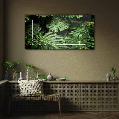 Foto op glas Groene jungle