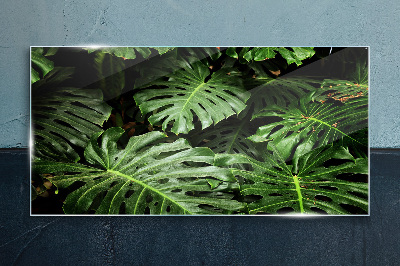 Glas foto Groene jungle