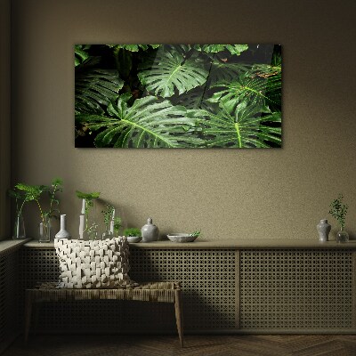 Glas foto Groene jungle