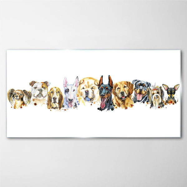 Foto op glas Hondenvriendschappen