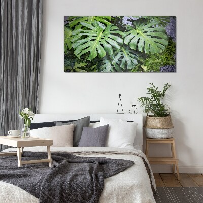 Glas foto Groene monsterabladeren in de natuur