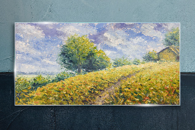 Schilderij op glas Zomerveldlandschap