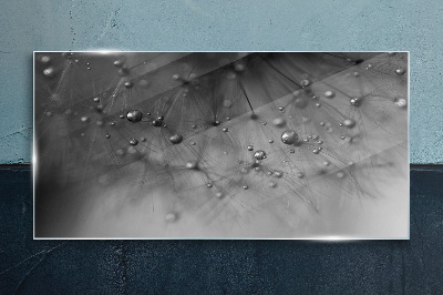 Glas foto Dauwdruppels op een paardenbloem