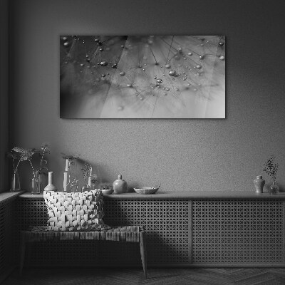 Glas foto Dauwdruppels op een paardenbloem