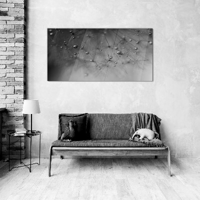 Glas foto Dauwdruppels op een paardenbloem