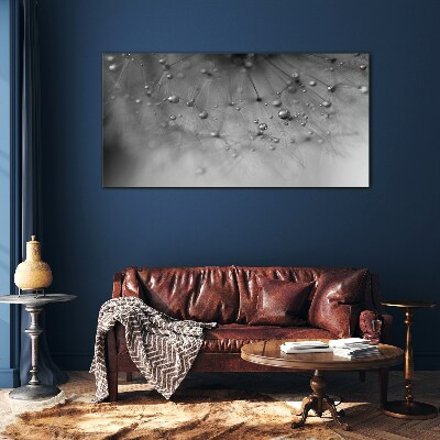 Glas foto Dauwdruppels op een paardenbloem