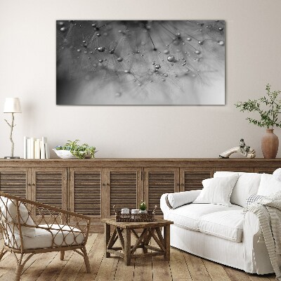 Glas foto Dauwdruppels op een paardenbloem