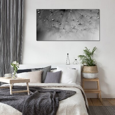 Glas foto Dauwdruppels op een paardenbloem