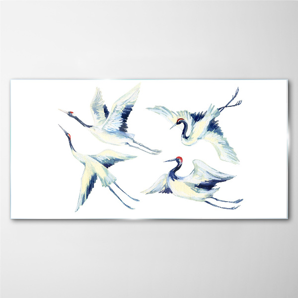 Foto op glas Dansende kraanvogels in het blauw