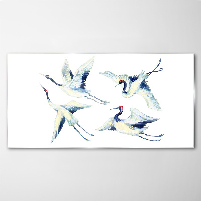 Foto op glas Dansende kraanvogels in het blauw