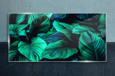 Foto op glas Groene tropische bladeren