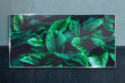 Schilderij op glas Groene symfonie van bladeren