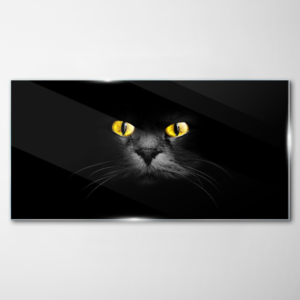Glas foto Gouden kattenogen in de schaduw