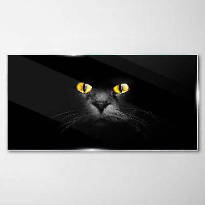 Glas foto Gouden kattenogen in de schaduw