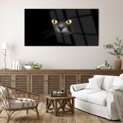 Glas foto Gouden kattenogen in de schaduw