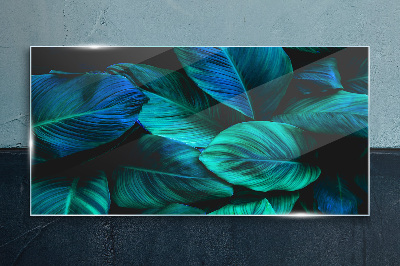 Glas foto Groene bladeren in diepe schaduw