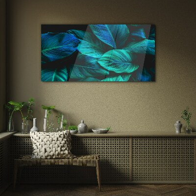 Glas foto Groene bladeren in diepe schaduw