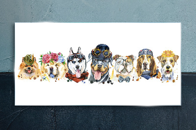 Foto op glas Honden in modieuze accessoires