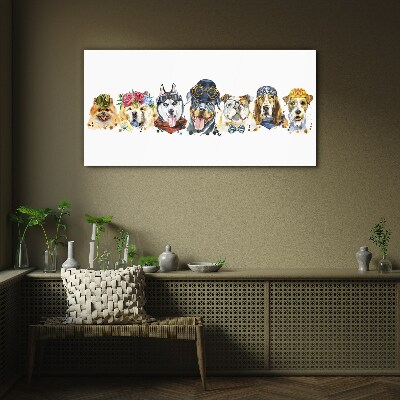 Foto op glas Honden in modieuze accessoires