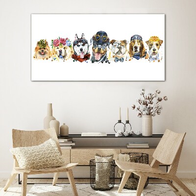 Foto op glas Honden in modieuze accessoires