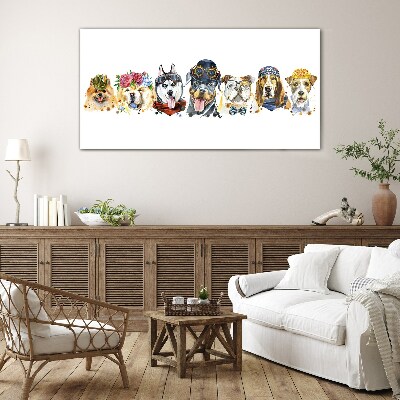 Foto op glas Honden in modieuze accessoires
