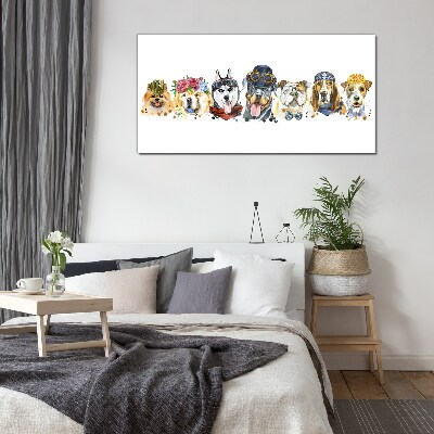 Foto op glas Honden in modieuze accessoires