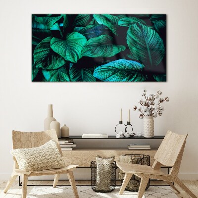 Foto op glas Groene tropische bladeren