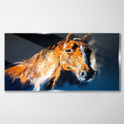 Foto op glas Portret van een paard in intense kleuren