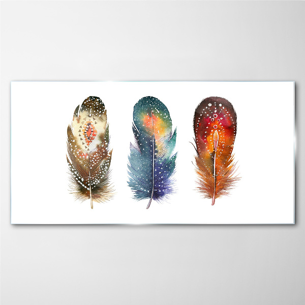 Glas foto Kleurrijke veren