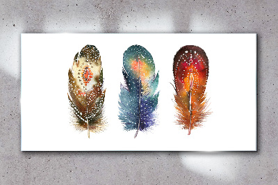 Glas foto Kleurrijke veren