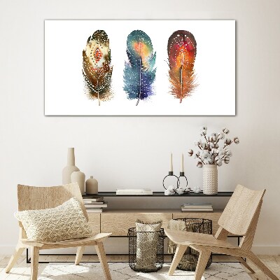 Glas foto Kleurrijke veren