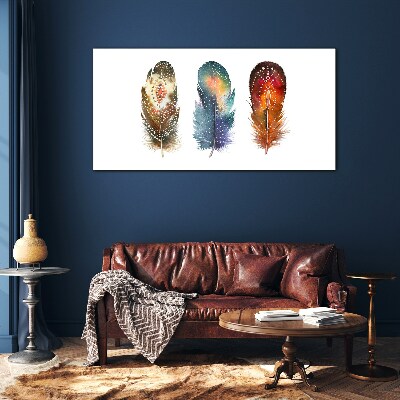 Glas foto Kleurrijke veren