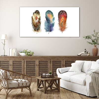 Glas foto Kleurrijke veren