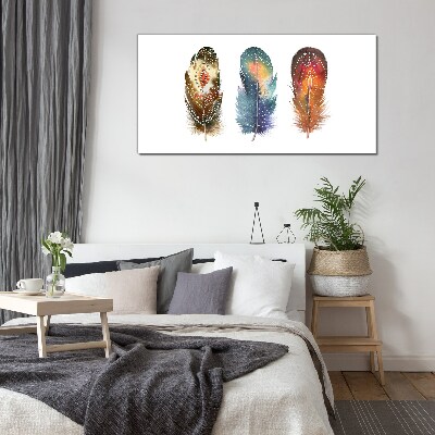 Glas foto Kleurrijke veren