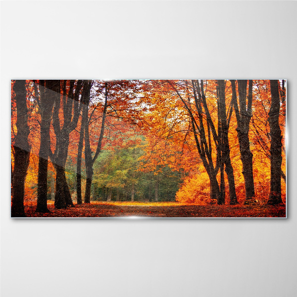 Schilderij op glas Herfstlaan met bomen