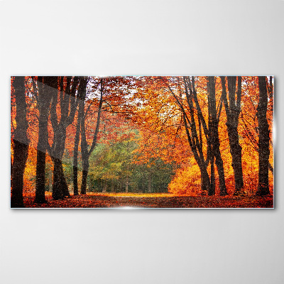 Schilderij op glas Herfstlaan met bomen