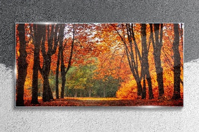 Schilderij op glas Herfstlaan met bomen