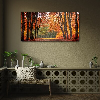 Schilderij op glas Herfstlaan met bomen