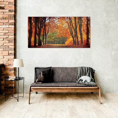 Schilderij op glas Herfstlaan met bomen