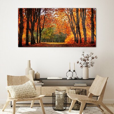 Schilderij op glas Herfstlaan met bomen