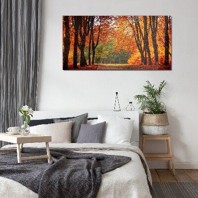 Schilderij op glas Herfstlaan met bomen