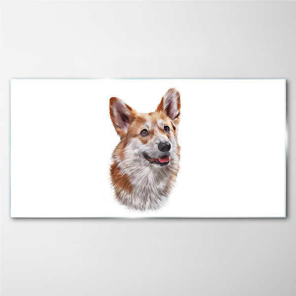 Foto op glas Portret van een vrolijke Corgi-hond