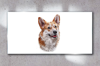 Foto op glas Portret van een vrolijke Corgi-hond