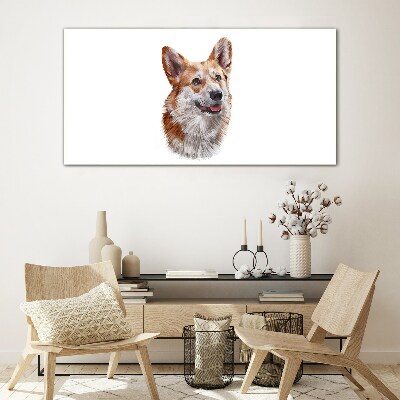 Foto op glas Portret van een vrolijke Corgi-hond